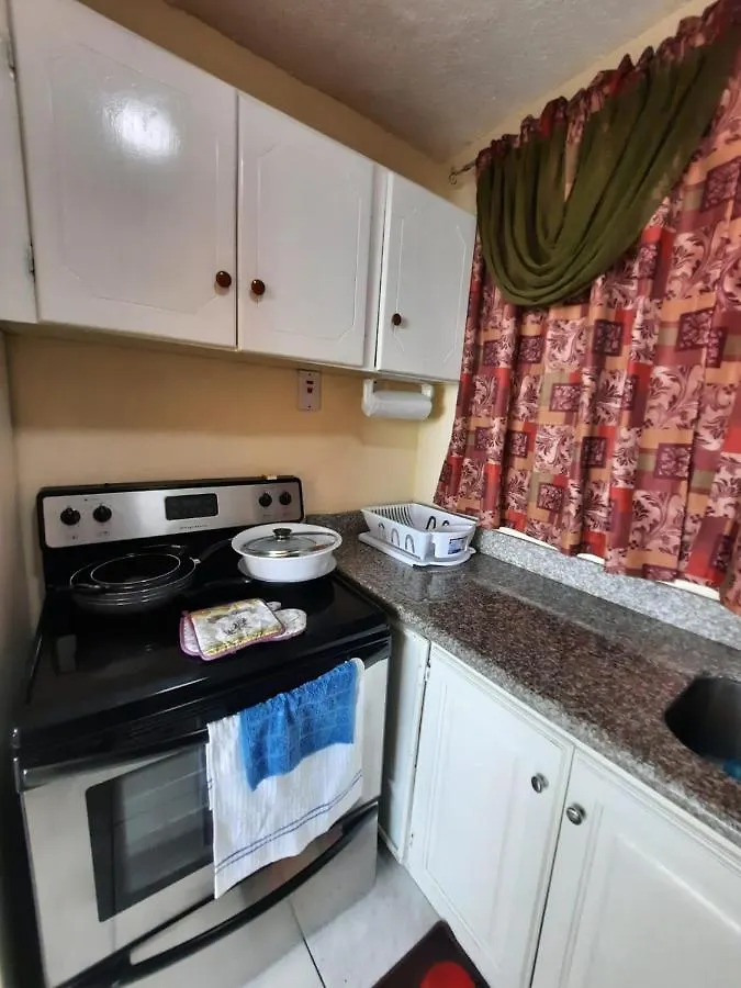 Heart-Of-The-City Apartment With The Amenities Of Home Kingston