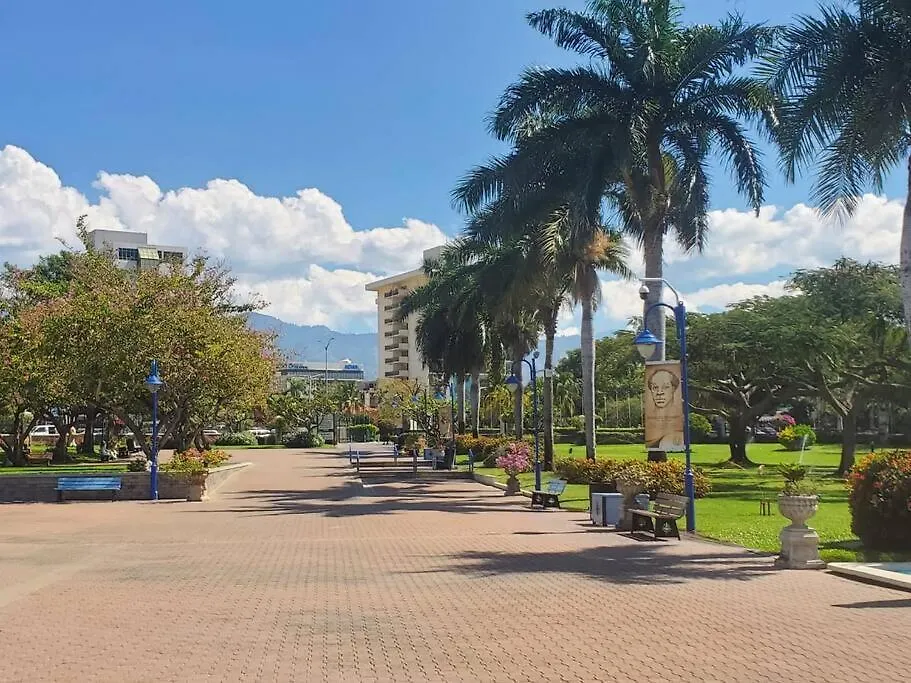Heart-Of-The-City Apartment With The Amenities Of Home Kingston