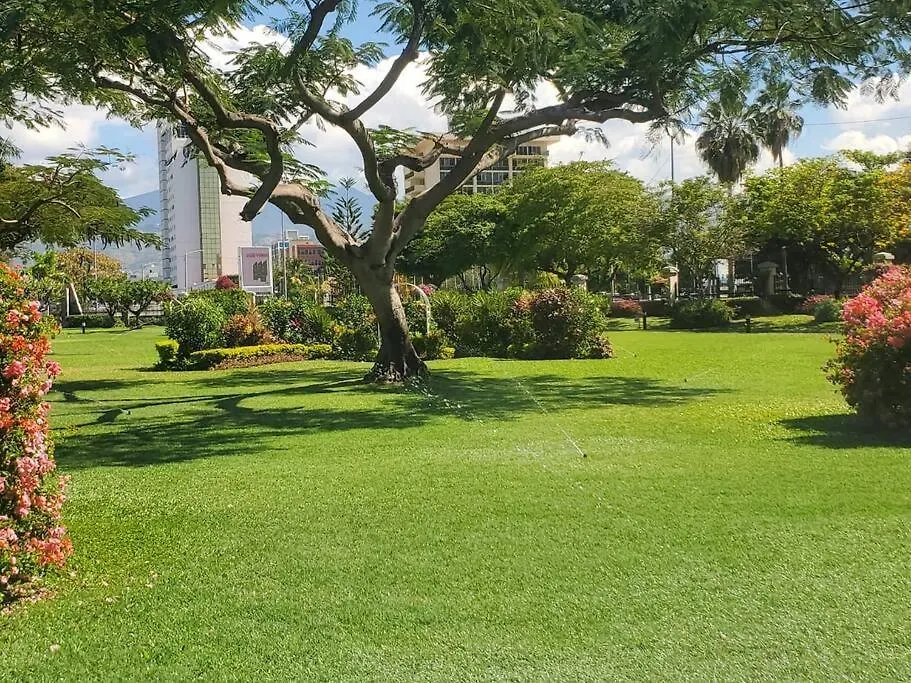 Heart-Of-The-City Apartment With The Amenities Of Home Kingston
