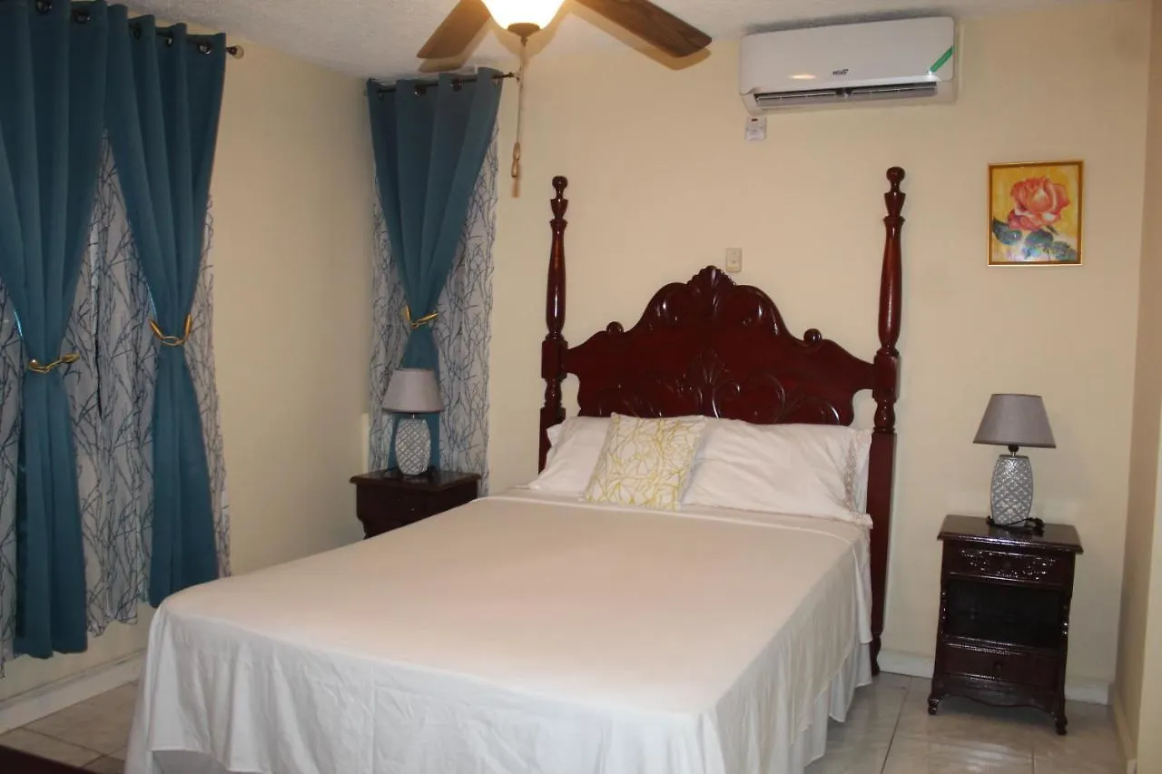 Heart-Of-The-City Apartment With The Amenities Of Home Kingston