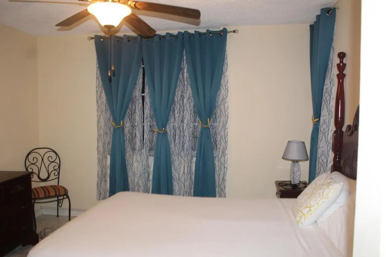 Heart-Of-The-City Apartment With The Amenities Of Home Kingston 0*,