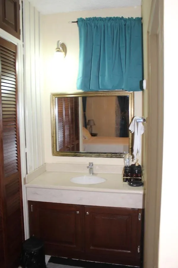 Heart-Of-The-City Apartment With The Amenities Of Home Kingston