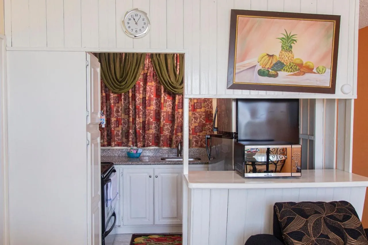 קינגסטון Heart-Of-The-City Apartment With The Amenities Of Home ג'מייקה
